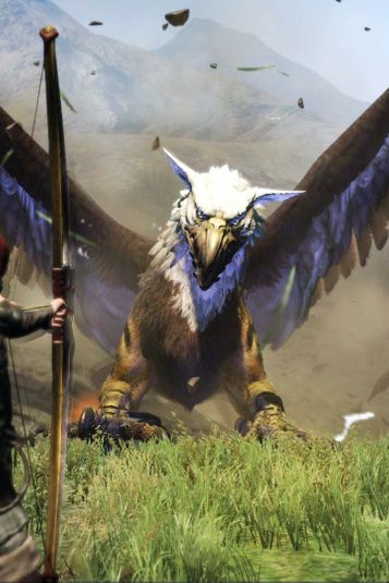 Dragon's Dogma