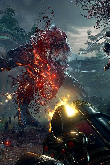 Shadow Warrior