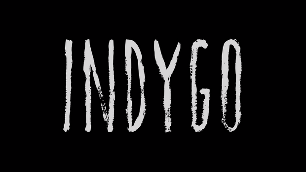 Indygo - an adventure game set in one room