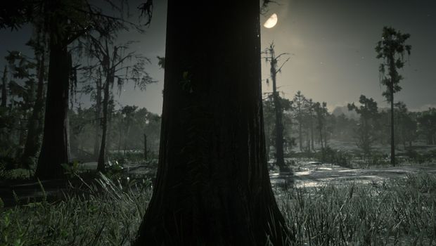 Where to find Vanilla flowers in Red Dead Online