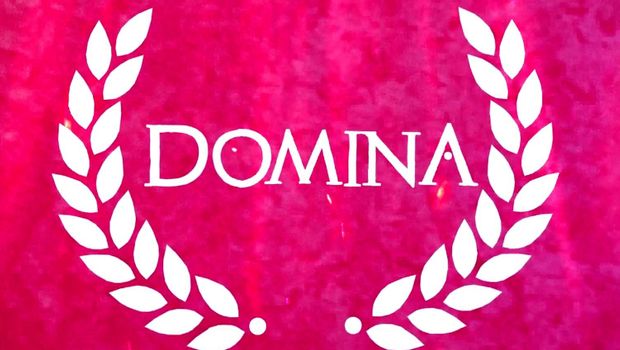 Dolphin Barn's Domina is on sale