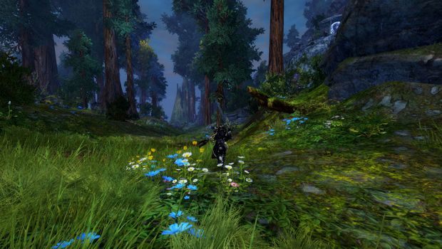 Guild Wars 2: Drizzlewood Coast meta length gets adjusted