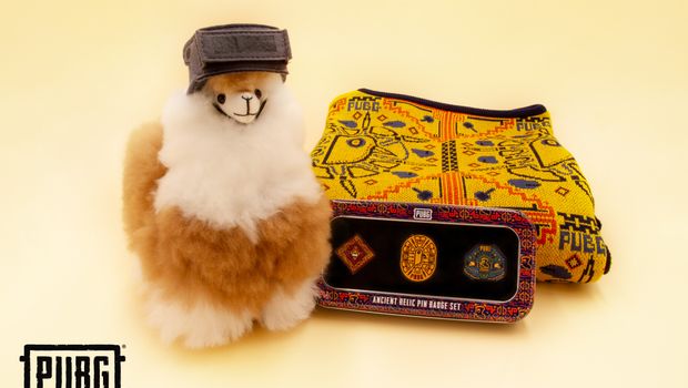 PUBG Season 9 merch giveaway and instructions how to enter