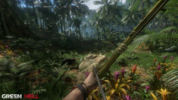 Green Hell launching on consoles in Q4 2020