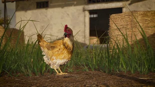 PUBG Update 14.2 is now live on PC: smoke bombs, mortar and chickens included