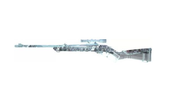 Valorant Winterwunderland skin - Marshal