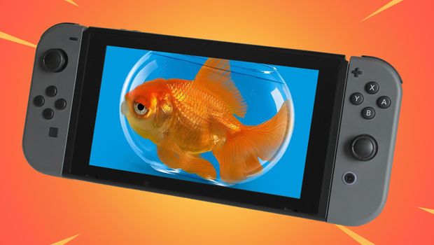 Nintendo drones about cross-play, again