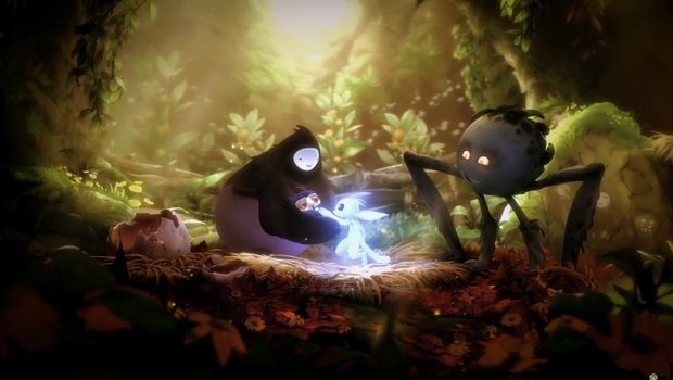 Ori and the Will of the Wisps fans get a chance to name an actual owl