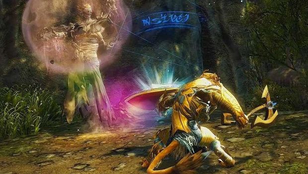 Guild Wars 2 players swatting in-game
