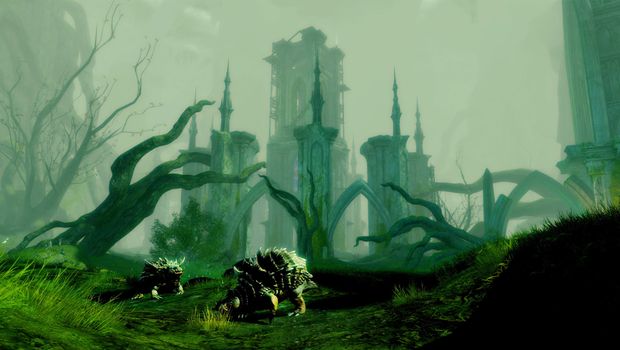 Guild Wars 2 video offers first look at Echovald Fores