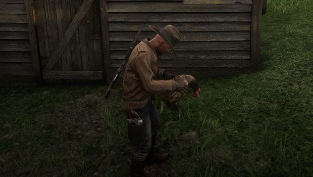 Red Dead Online: Seasoned Plump Bird recipes and locations