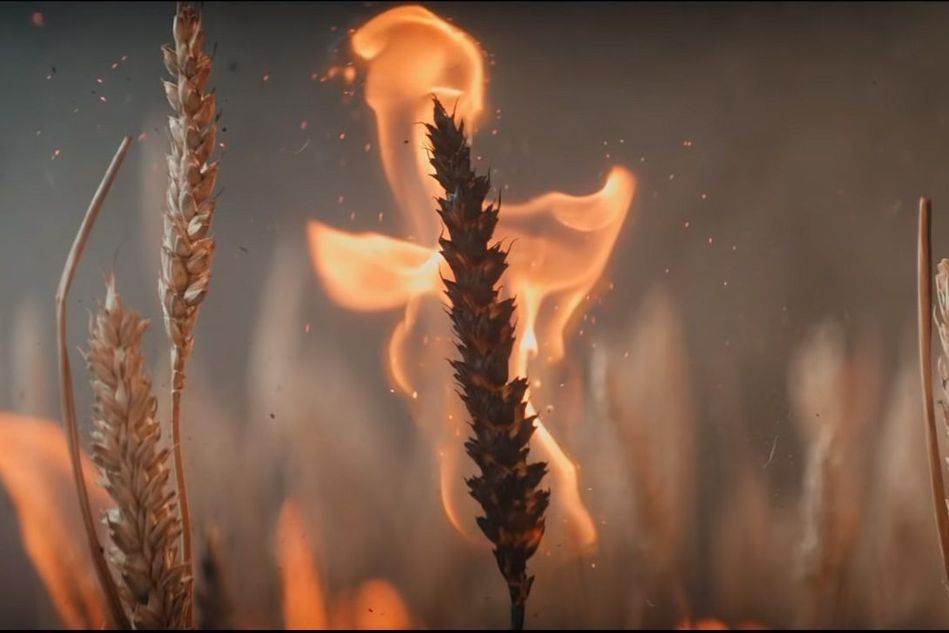 picture showing wheat on fire