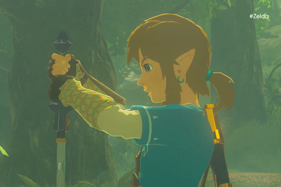 Link holding the Master Sword