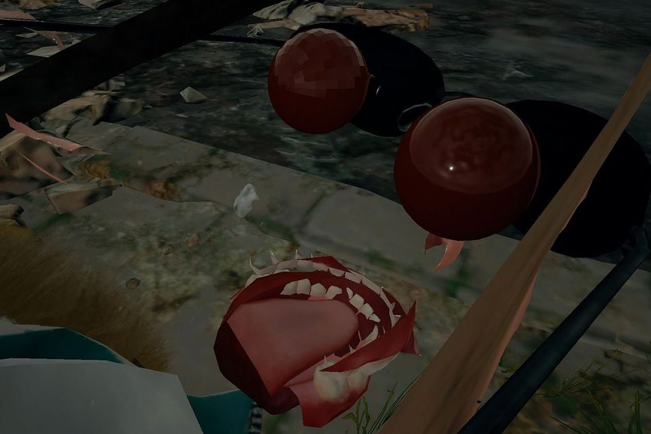A bug in PUBG showing a character's eyeballs and mouth 