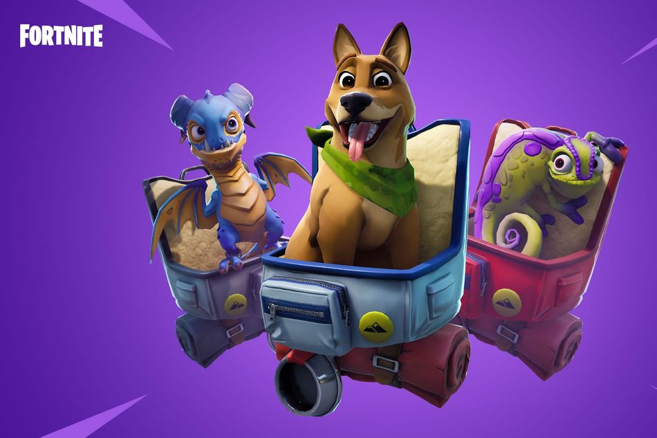 Fortnite's Season 6 addition - pets