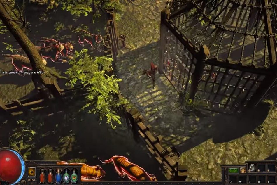 The player is luring wild cats from a lush green forest into their wooden cages.
