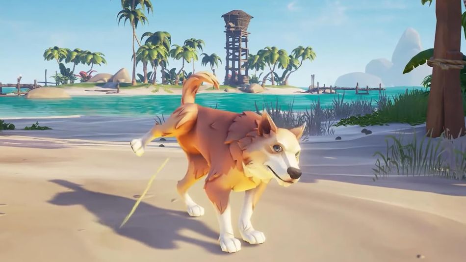 Sea of Thieves dog relieving itself