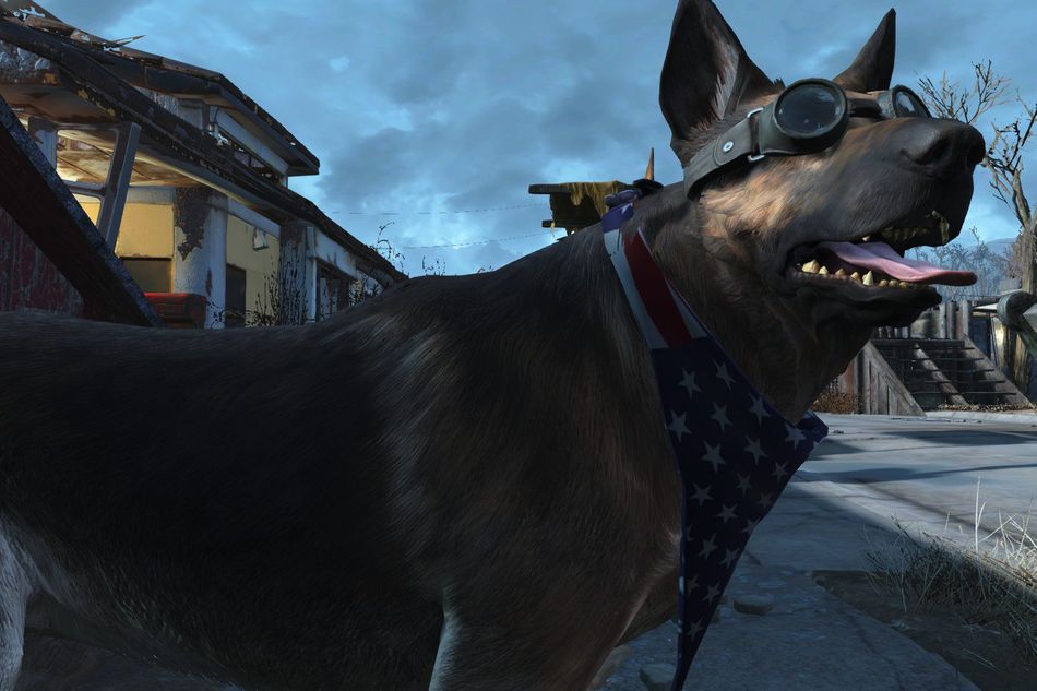 Picture of Dogmeat with a bandana and goggles in Fallout 4