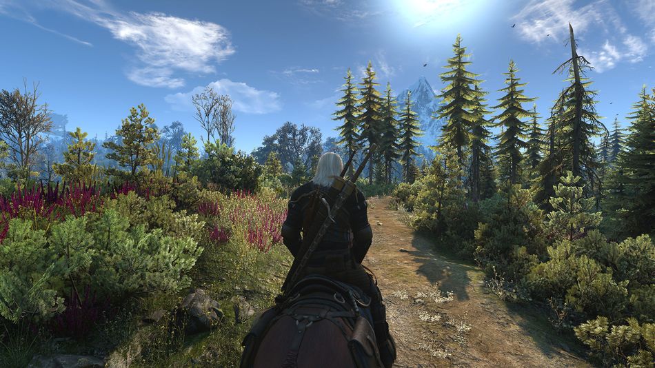 witcher 3 screenshot showing skellige panorama