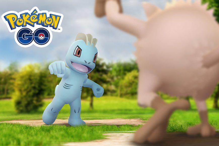 Picture of Machop and Mankey about to clash