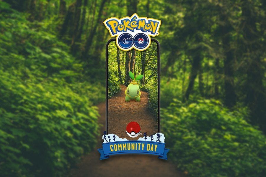 Picture of Turtwig from Pokemon Go