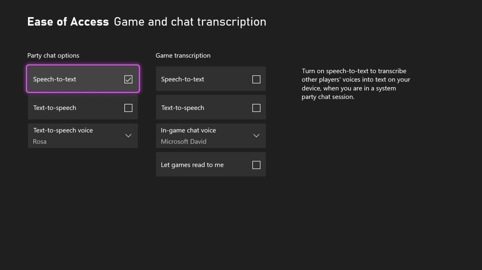 Xbox Party Chat Setting