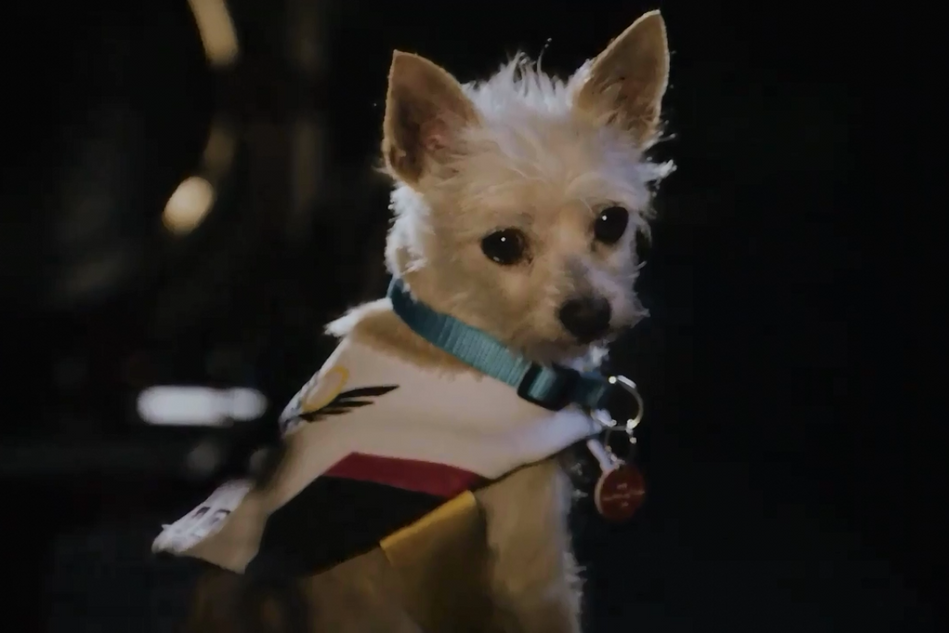 A dog in Overwatch's Year of the Dog Puppy Rumble