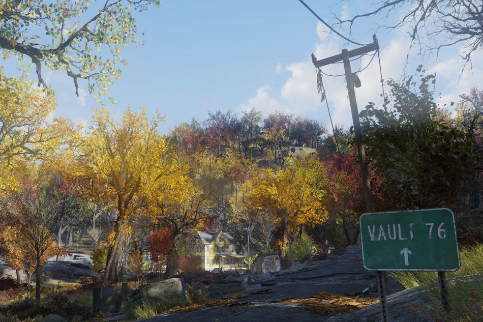 picture showing road and forest