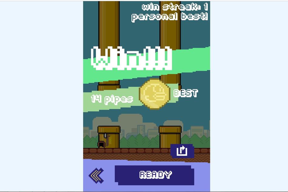 Picture of the victory screen in Flappy Royale