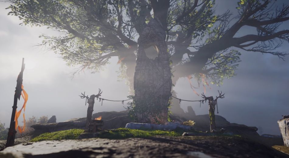 Assassin's creed valhalla screenshot showing a tree and a rock