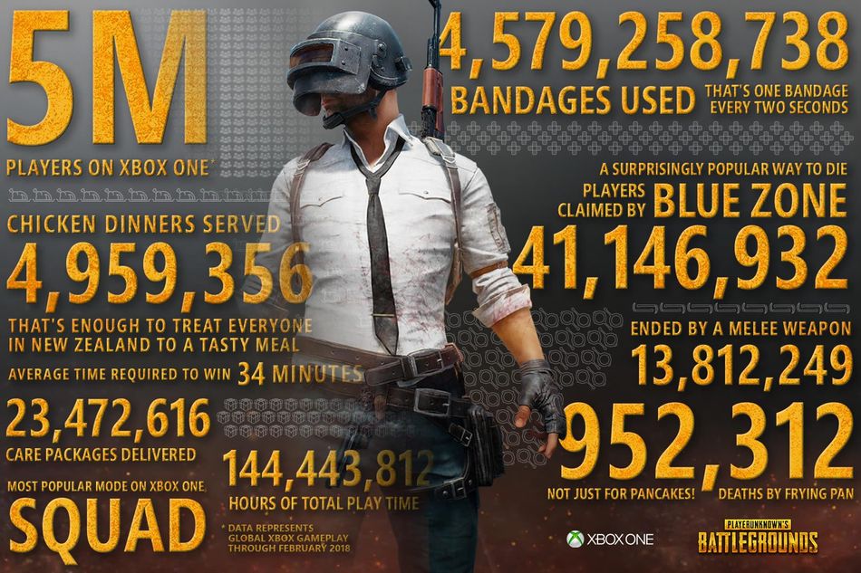 Protagonist of survival game PUBG standing next to statistical data