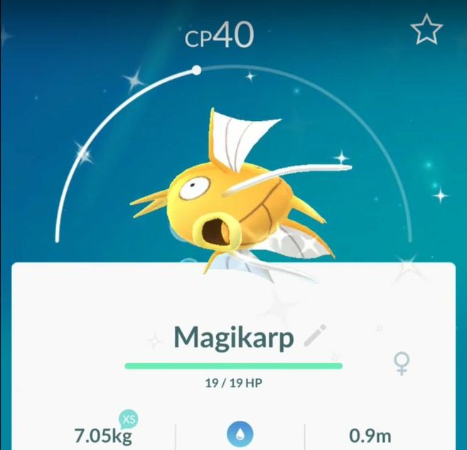 In-game screenshot of the Shiny Pokemon Magikarp in Pokemon GO