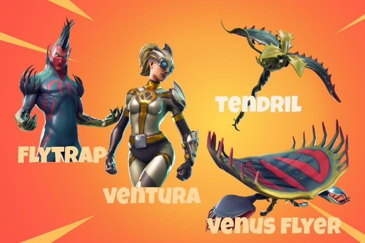 Two skins, one pickaxe and one glider from Fortnite