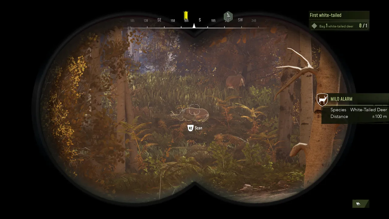 The hunt is not just shooting, but also learning more about the animals behaviour.