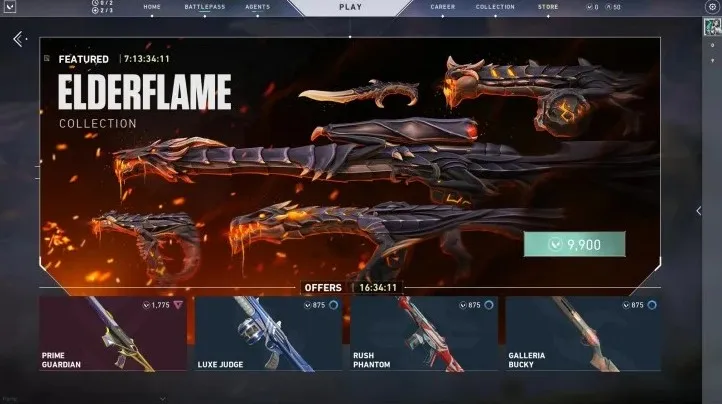 Valorant Soup Store leaked