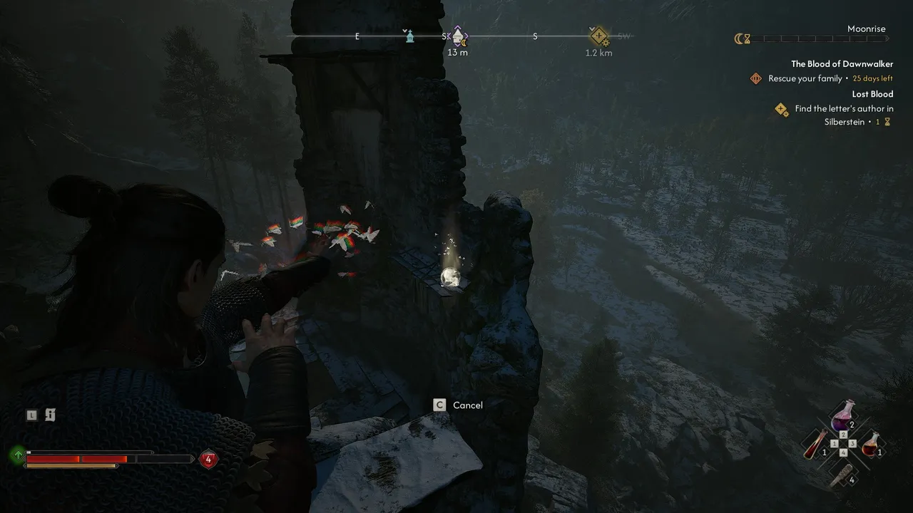 The Blood of Dawnwalker: Coen using Shadowstep