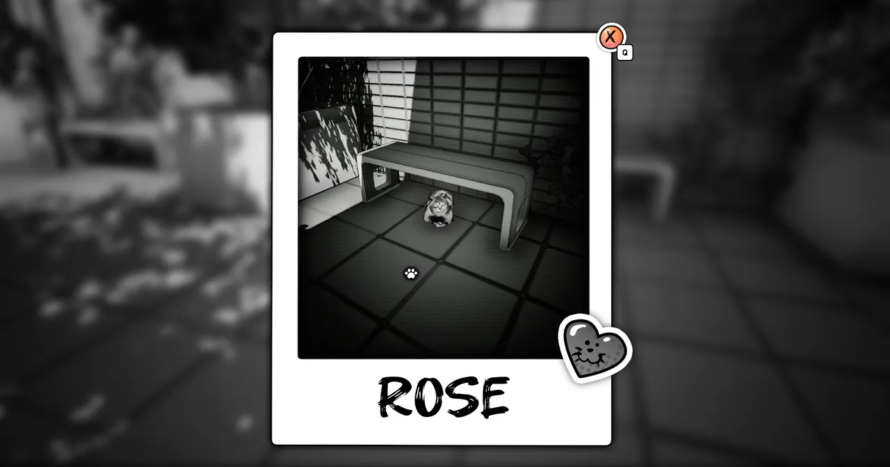 After snapping a pic, you can look at it and also check out the kitty's name.