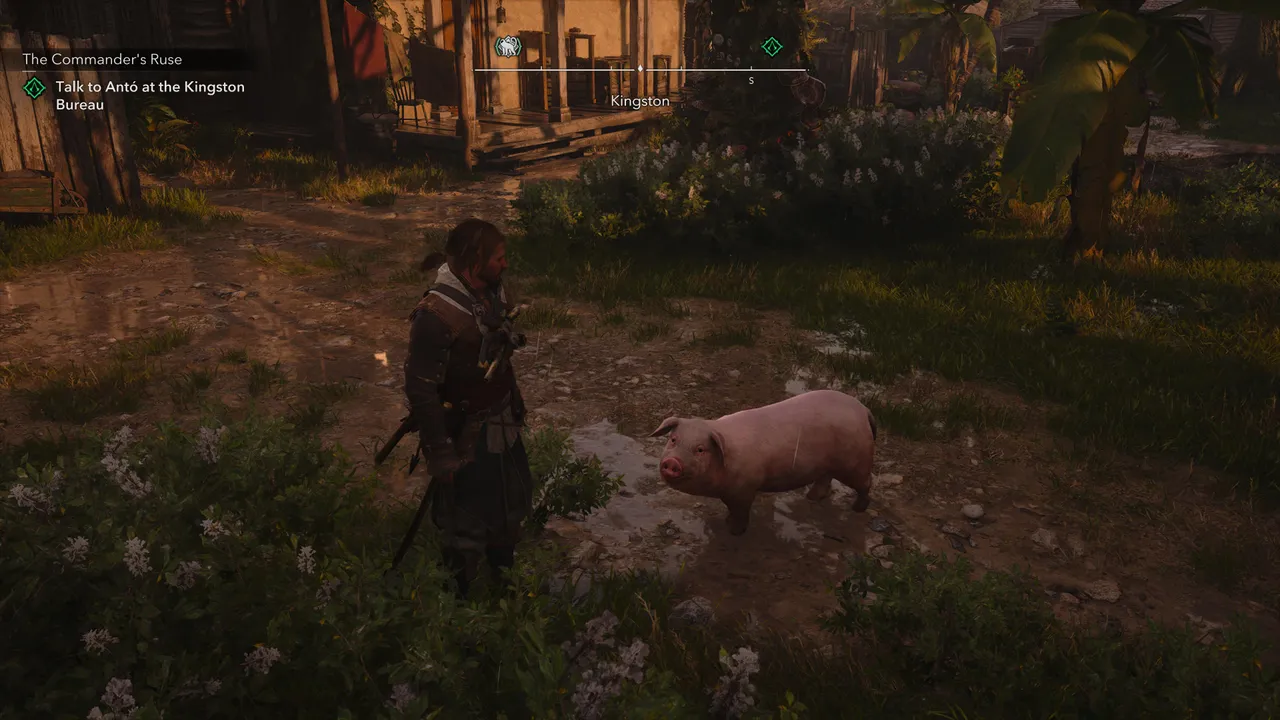 Kingston is the safest bet to find pigs; I don't recall any other place where they can be found.