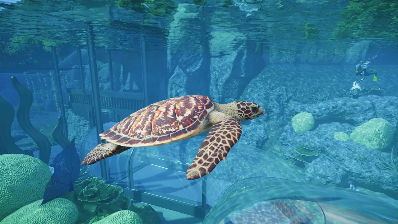 The Hawksbill Sea Turtle swims through one of Planet Zoo 2's aquariums