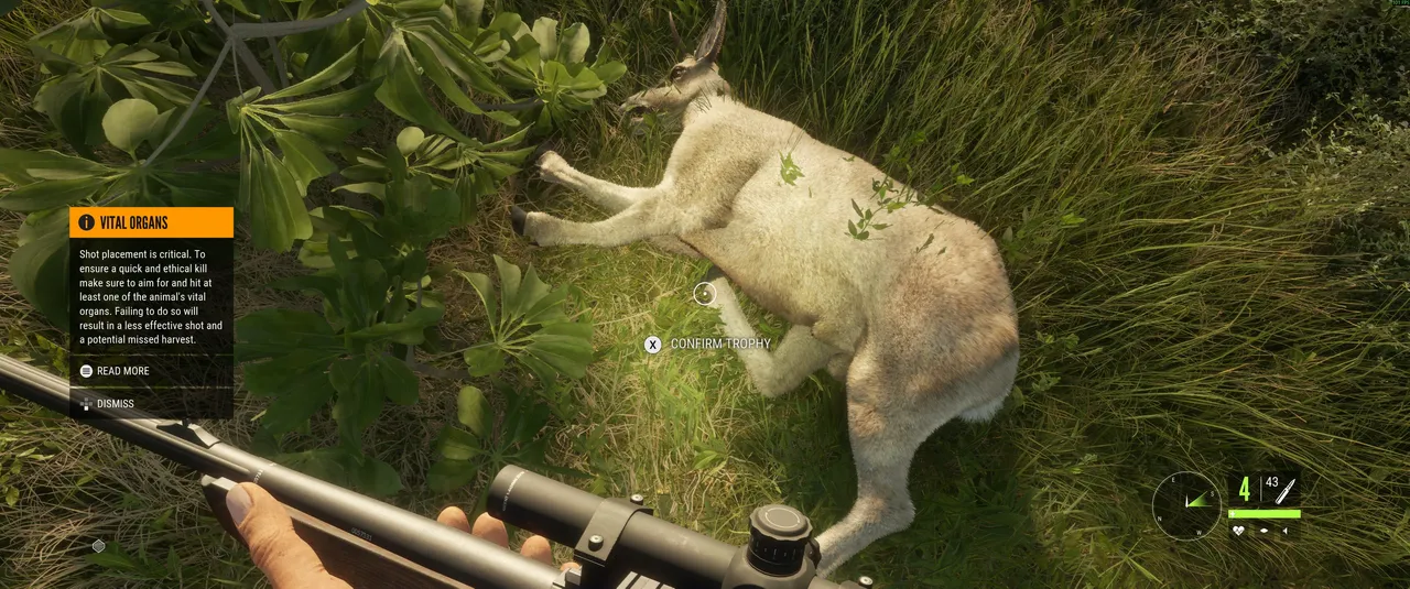 Shot placement matters here just as much as it ever has — a clean kill is never guaranteed just because you pulled the trigger.