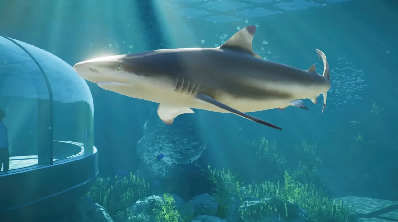 Sharks are among the aquatic species zoo managers can add to their exhibits in Planet Zoo 2