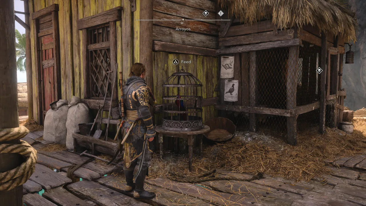 Parrots are found in small cages beside the pigeon coops where you collect Assassin contracts. They're easy to walk past if you're not looking for them.
