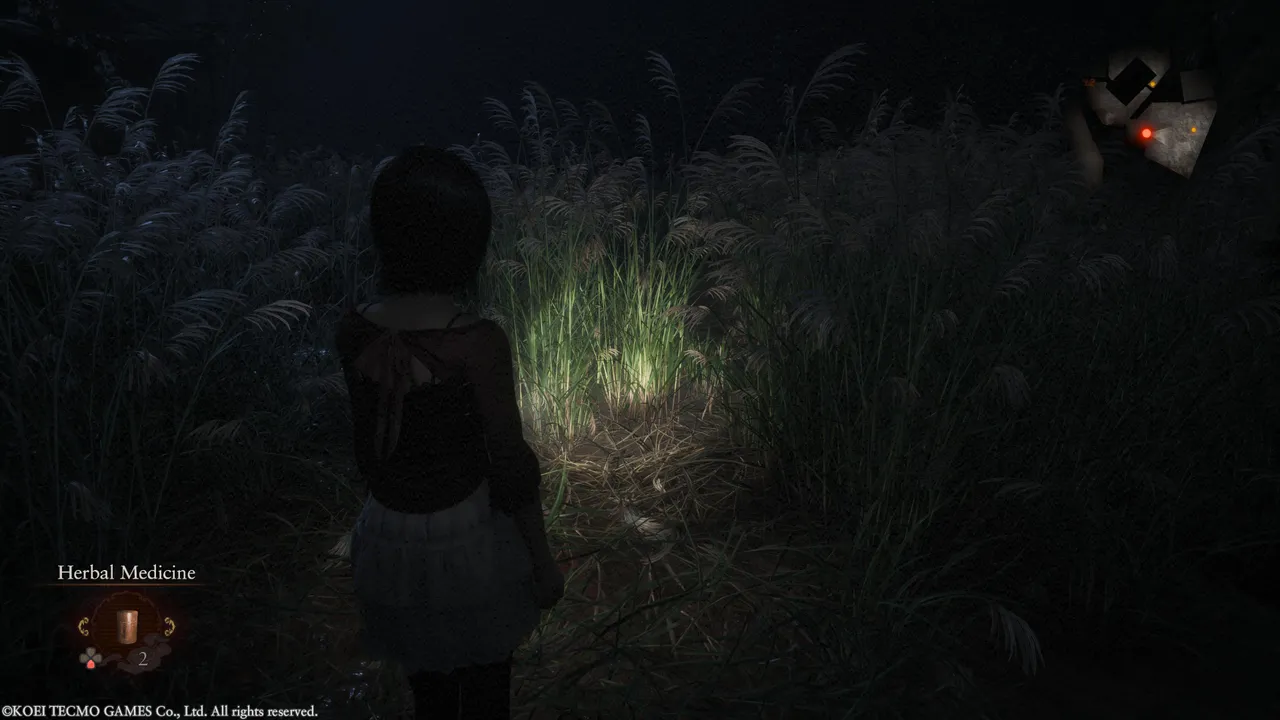 Fatal Frame 2: Crimson Butterfly Remake: The sound design is a small masterpiece