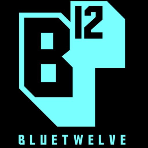 BlueTwelve Studio