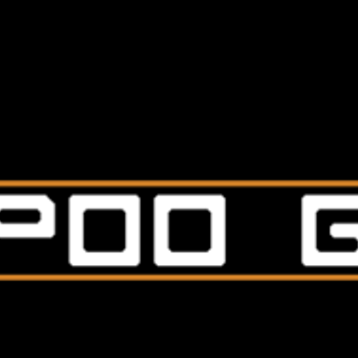 Hopoo Games