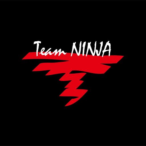 Team Ninja