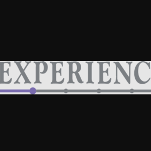 Experience