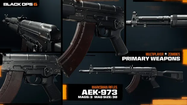 Call of Duty: Black Op 6 - Best AEK-973 Loadout