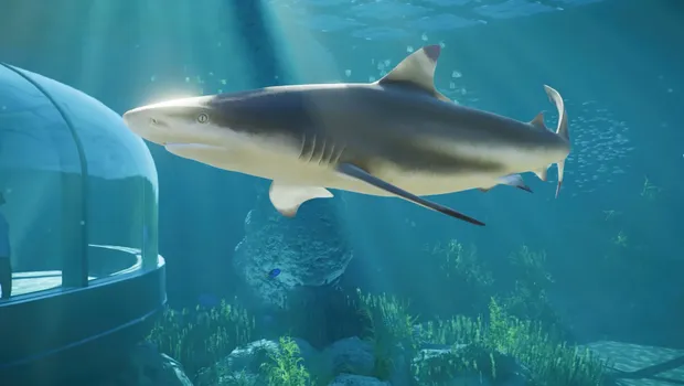 Planet Zoo 2's second Feature Focus goes underwater with sharks, rays and glass tunnels