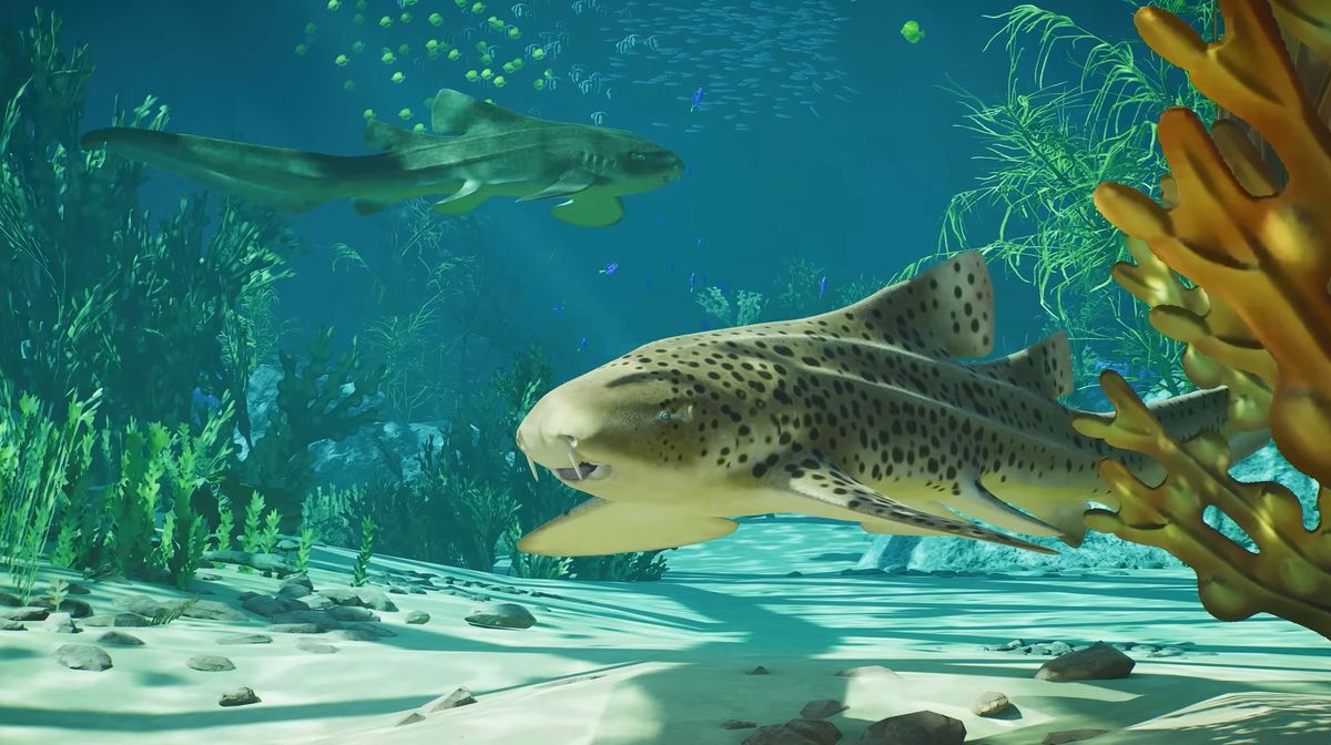 Planet Zoo 2 shines a light on the Indo-Pacific Leopard Shark ahead of October's launch